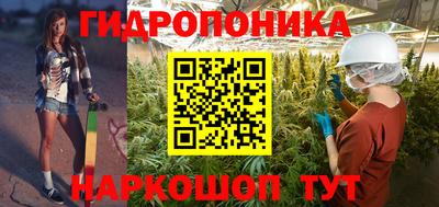 a pvp Обнинск