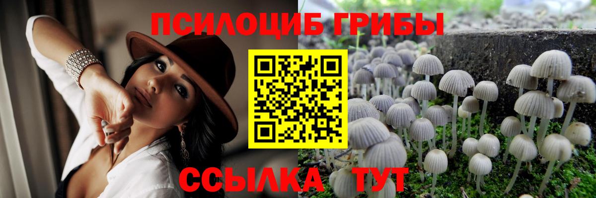 Галлюциногенные грибы мицелий Тольятти